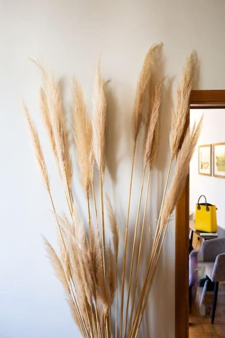 Appartement Ariosto Charme Florence