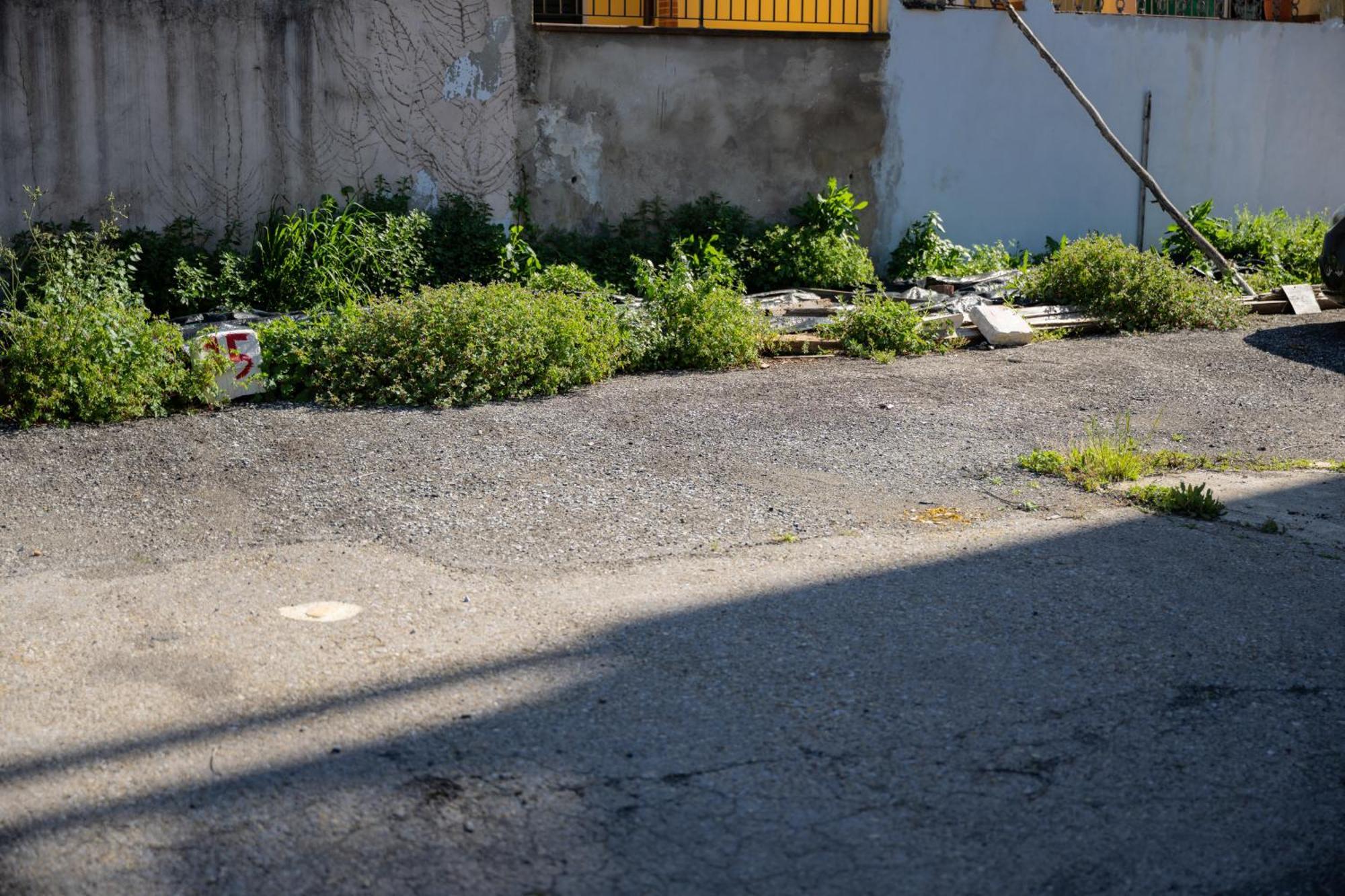Tipica Cozy House + Parking!