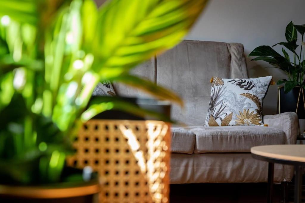 Appartement Ciompi Square-hosted By Sweetstay Florence