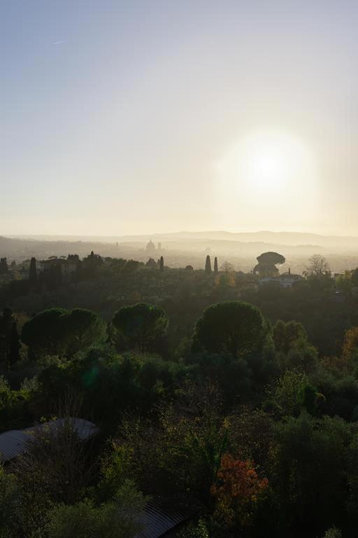 La Stella 2*