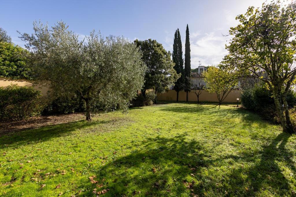 La Stella 2*