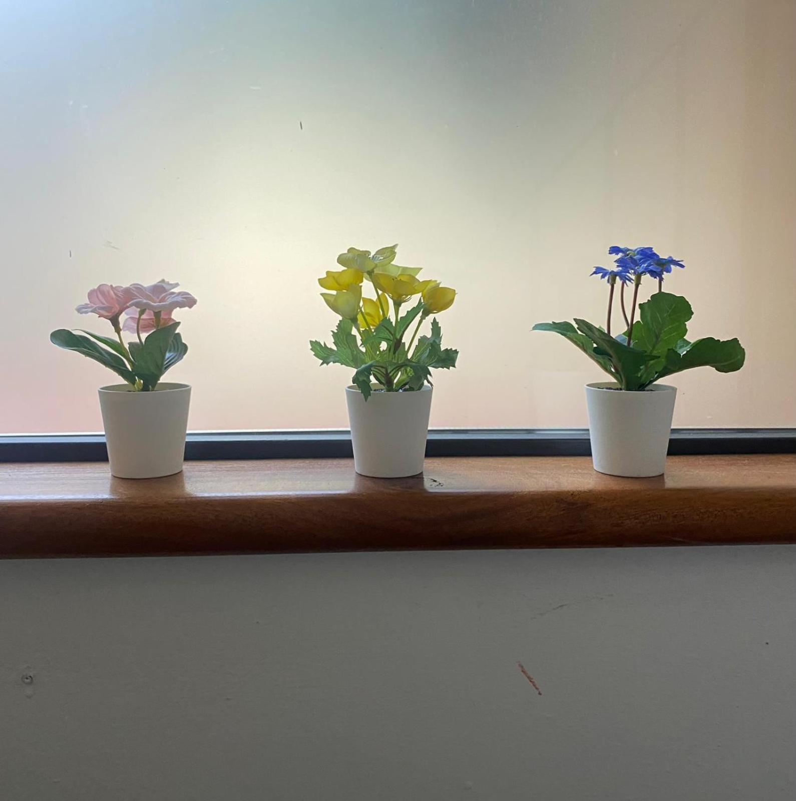 Indipendente Con Giardino Fralu Apartment *