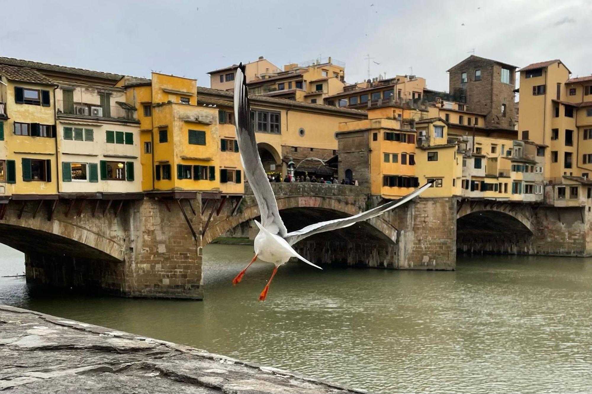 Apartment Vintage In The Heart Of Florence