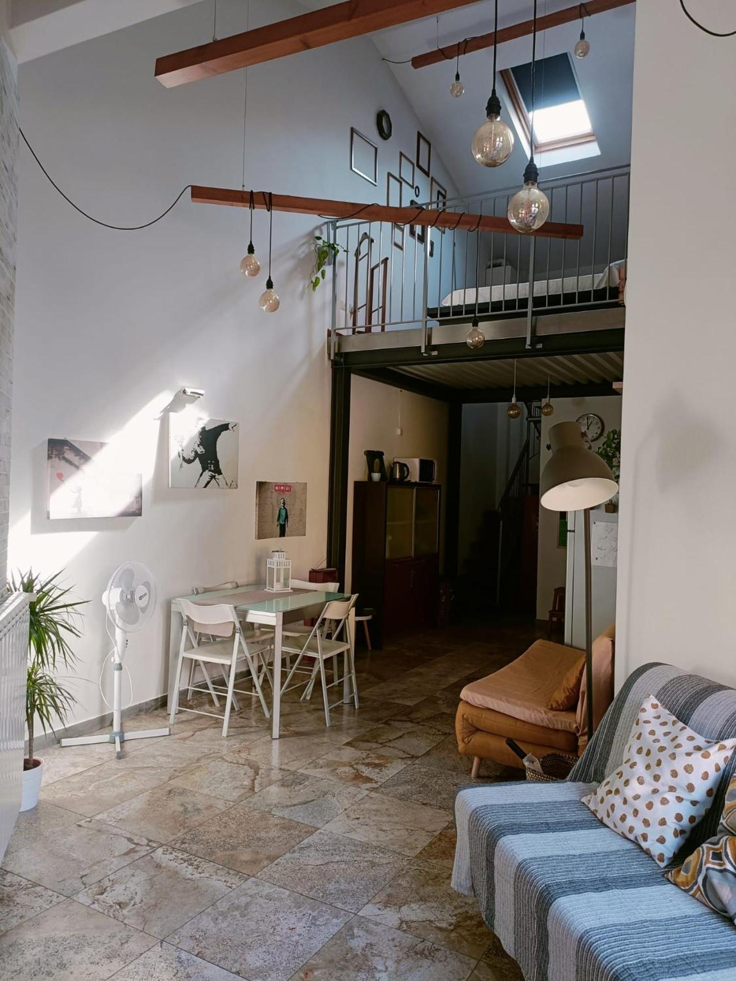 Il Loft Di Nina Apartment *