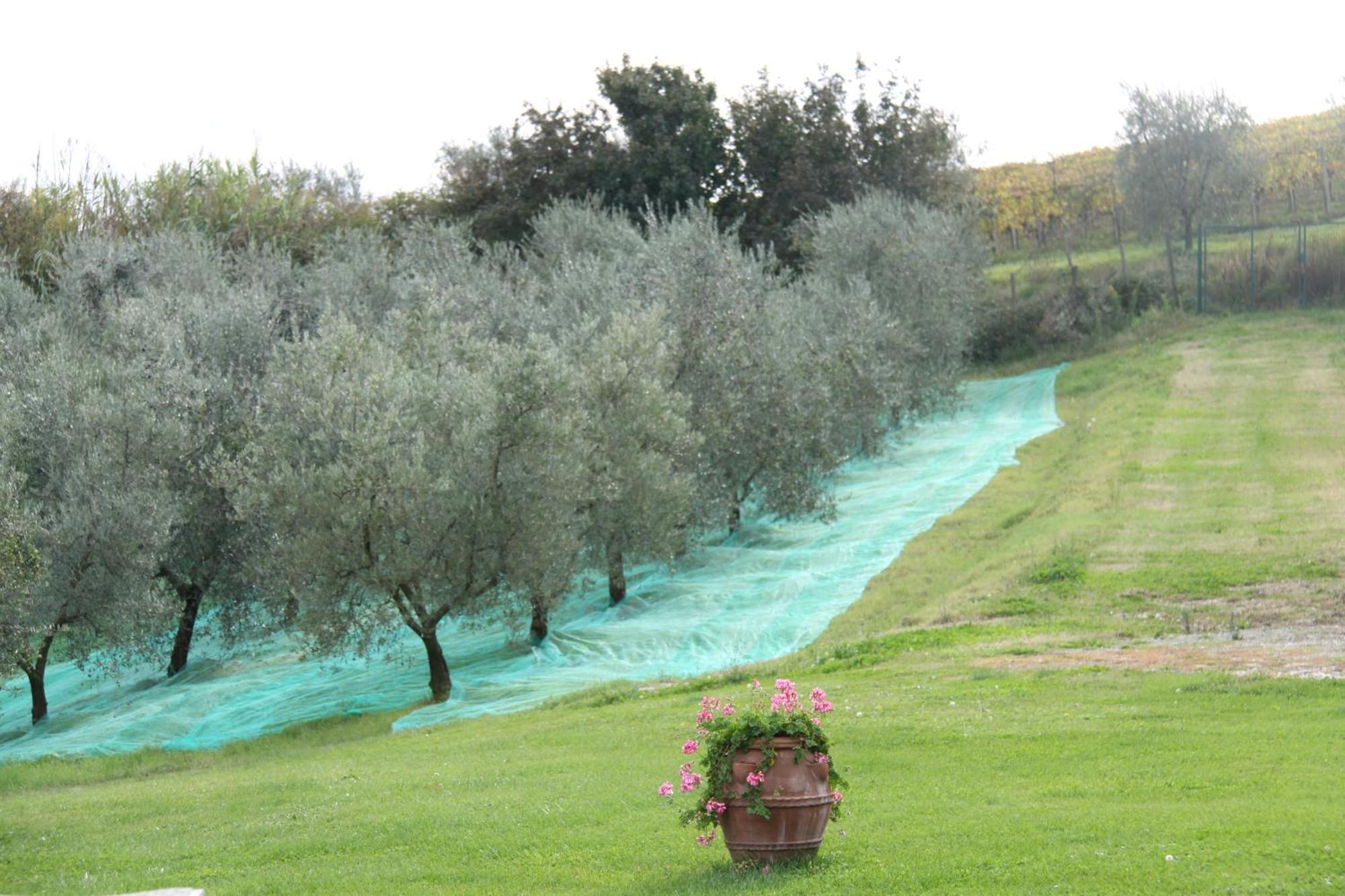 Holiday home Il Cigliere Your In The Heart Of Tuscany *