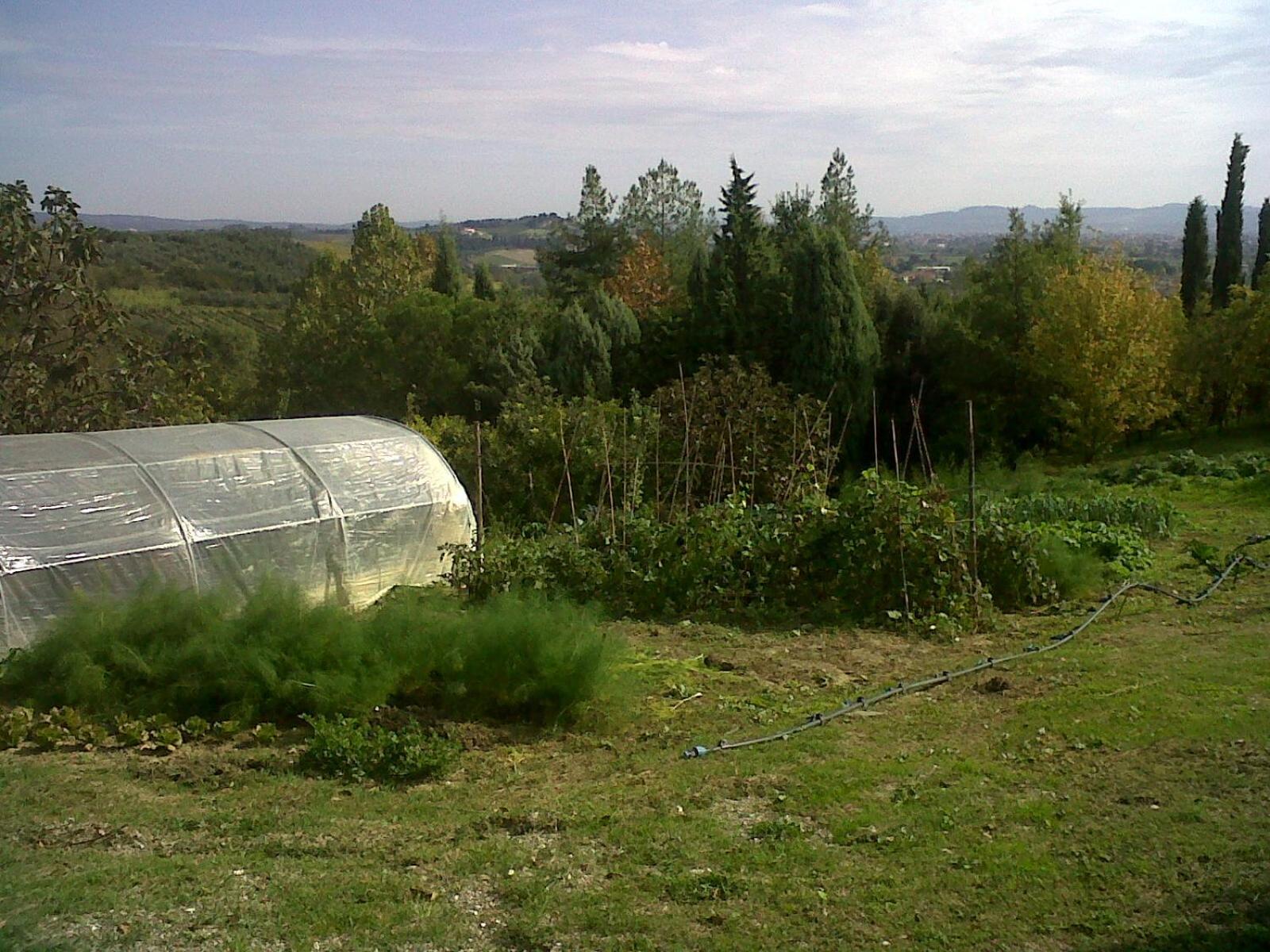 Il Cigliere Your In The Heart Of Tuscany Holiday home Florence