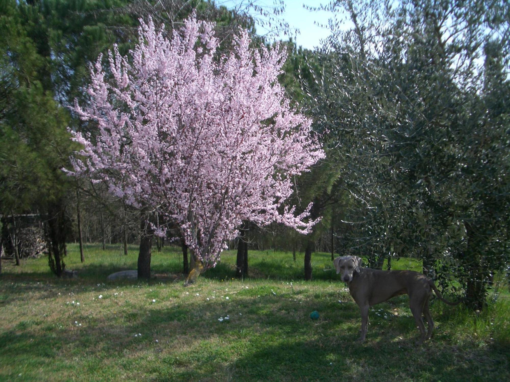 Holiday home Il Cigliere Your In The Heart Of Tuscany *