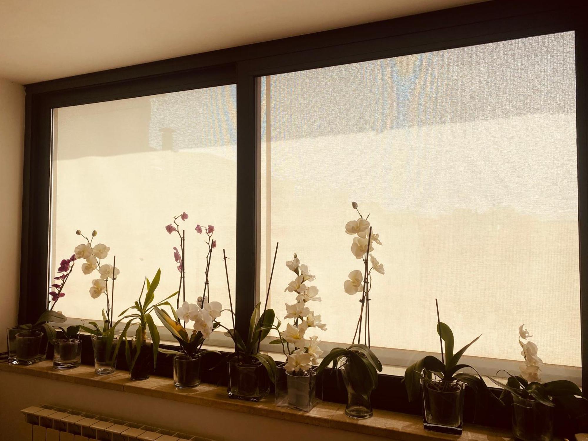 La Casa Di Dani Appartement
