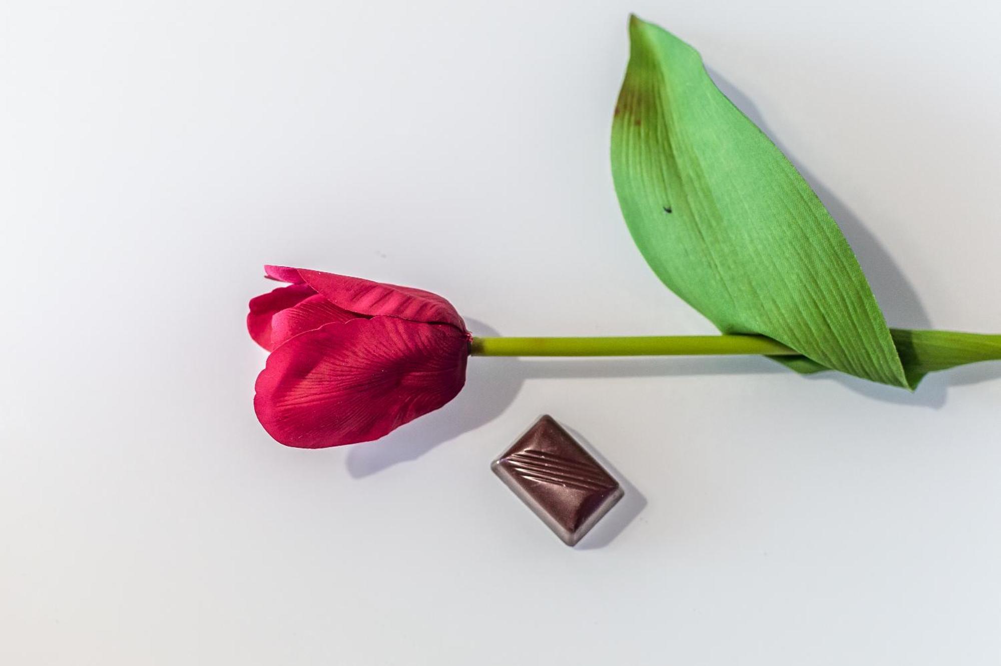 Chocolate Apartment