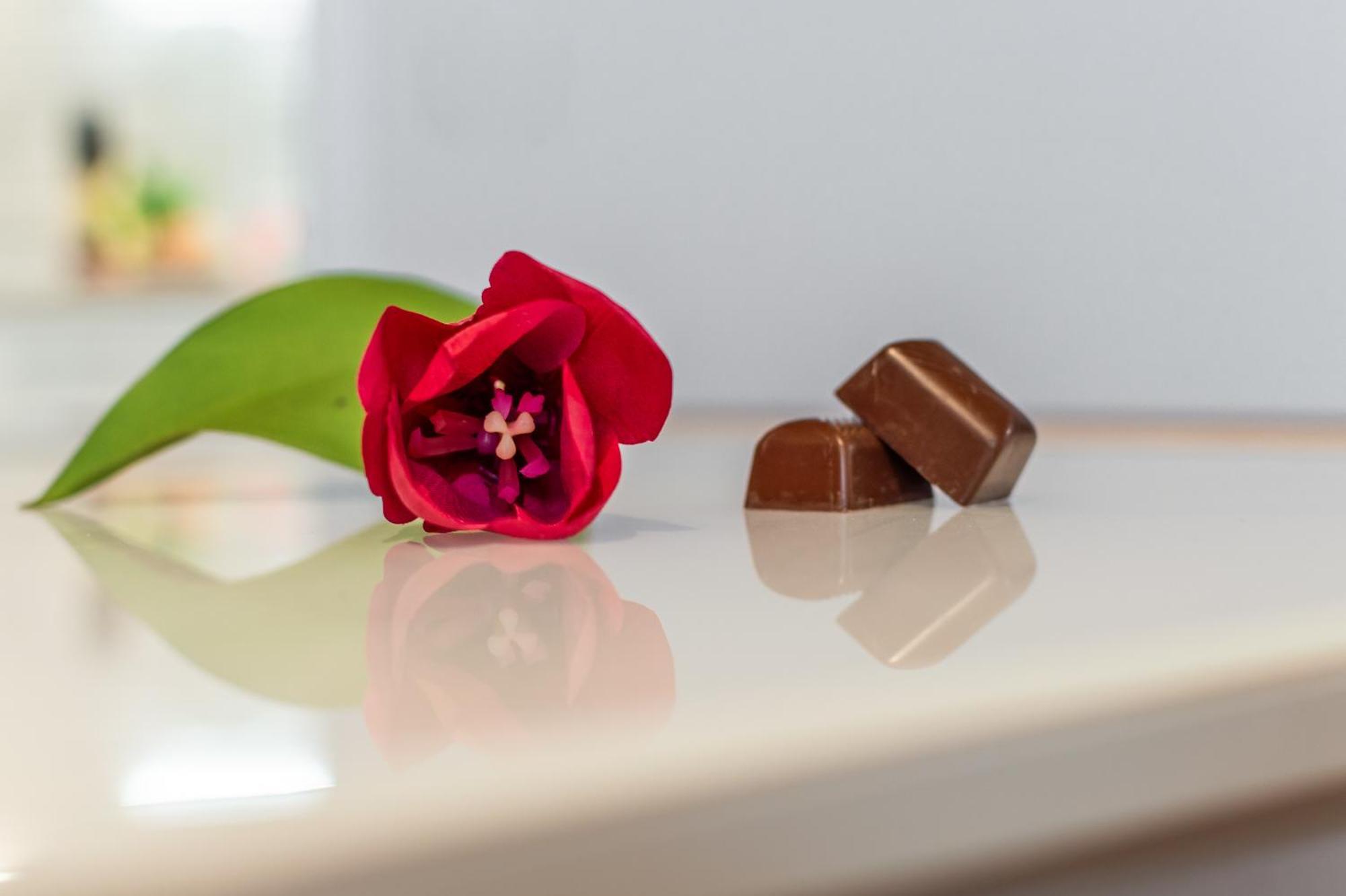 Apartment Chocolate