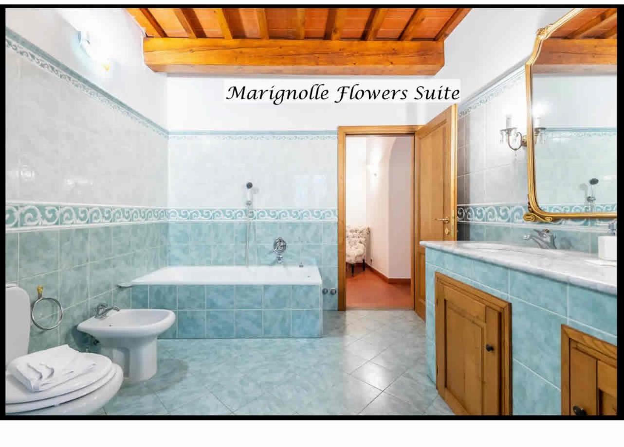 Vakantiehuis Marignolle Flowers Florence