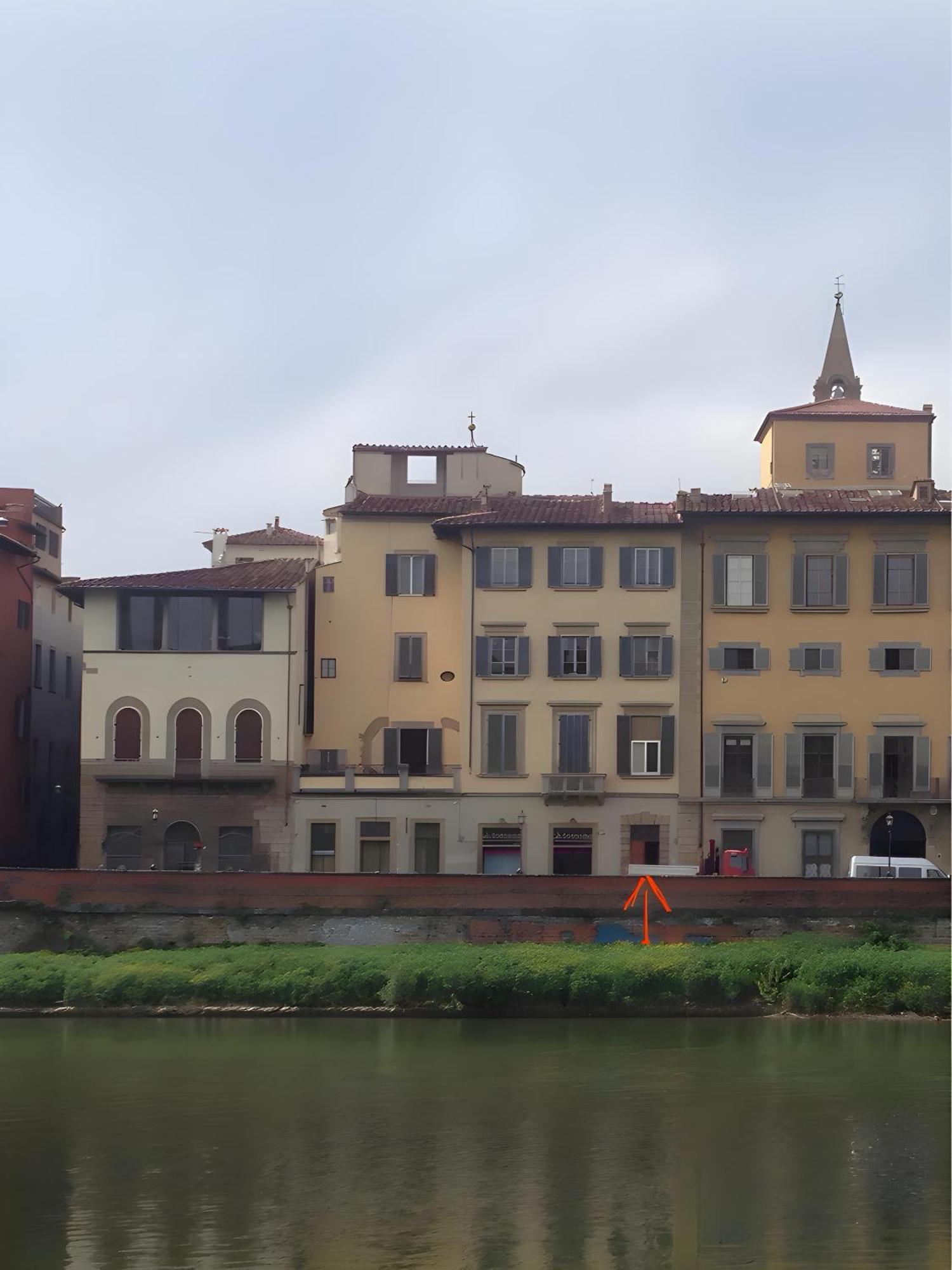 Art & Style Lungarno Guicciardini Appartement Florence