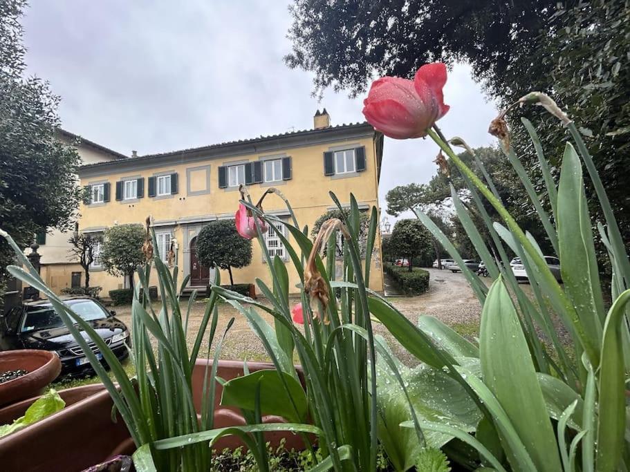 Appartamento Residenza Storica In Palazzo Bruciato
