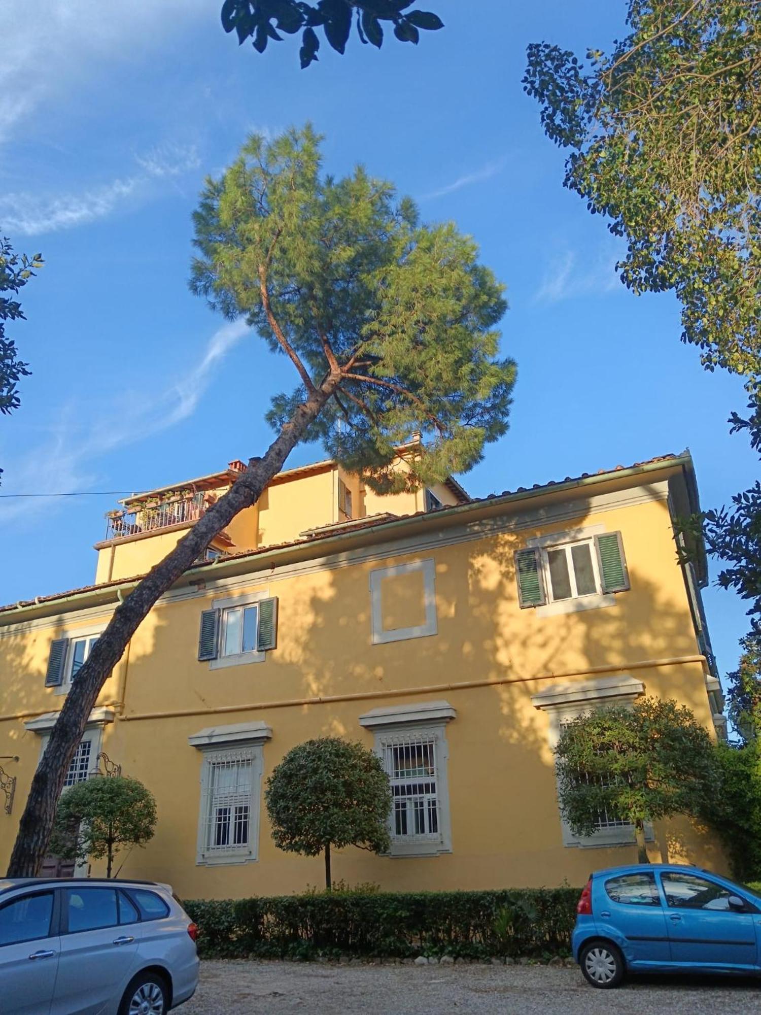 Residenza Storica In Palazzo Bruciato * Firenze