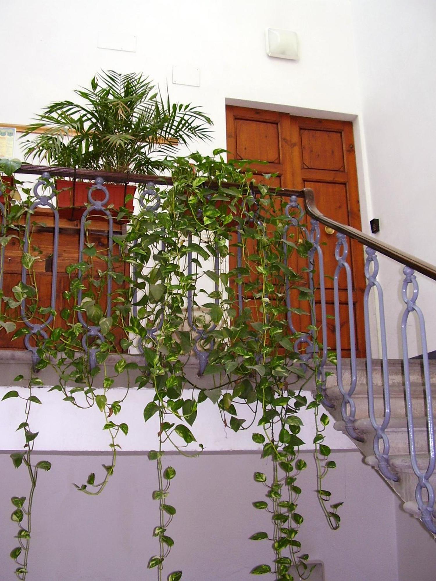 Residenza Le Rondini
