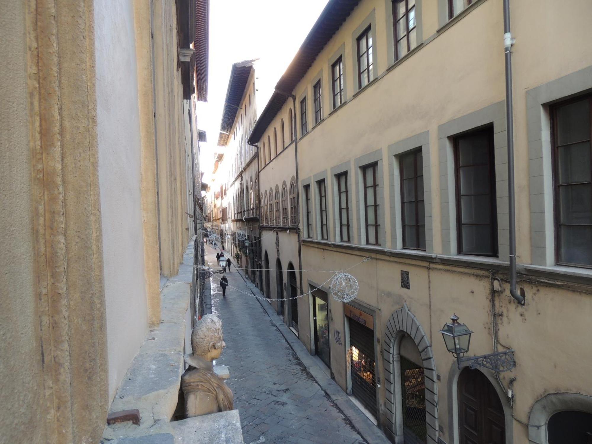 Orchidea Florence