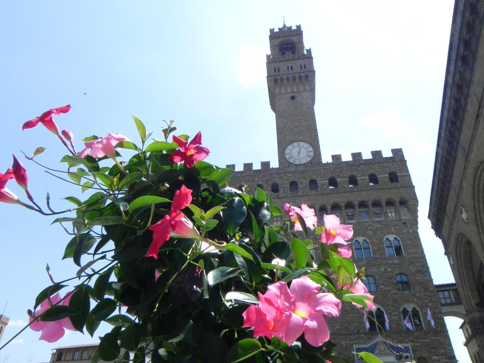 Apartment Monolocale Gallo Florenz