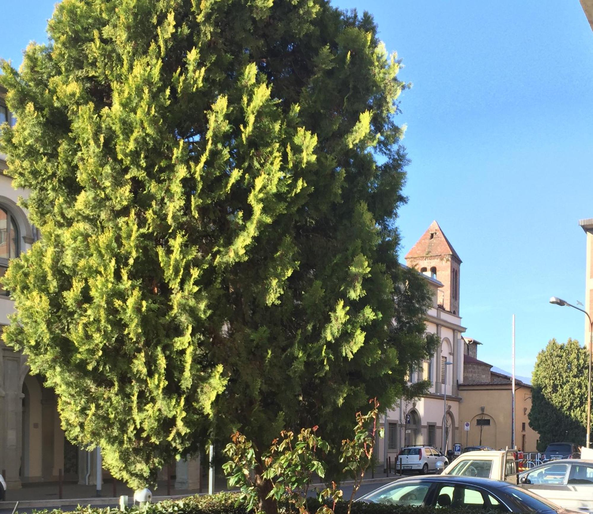 San Donato Flat Firenze
