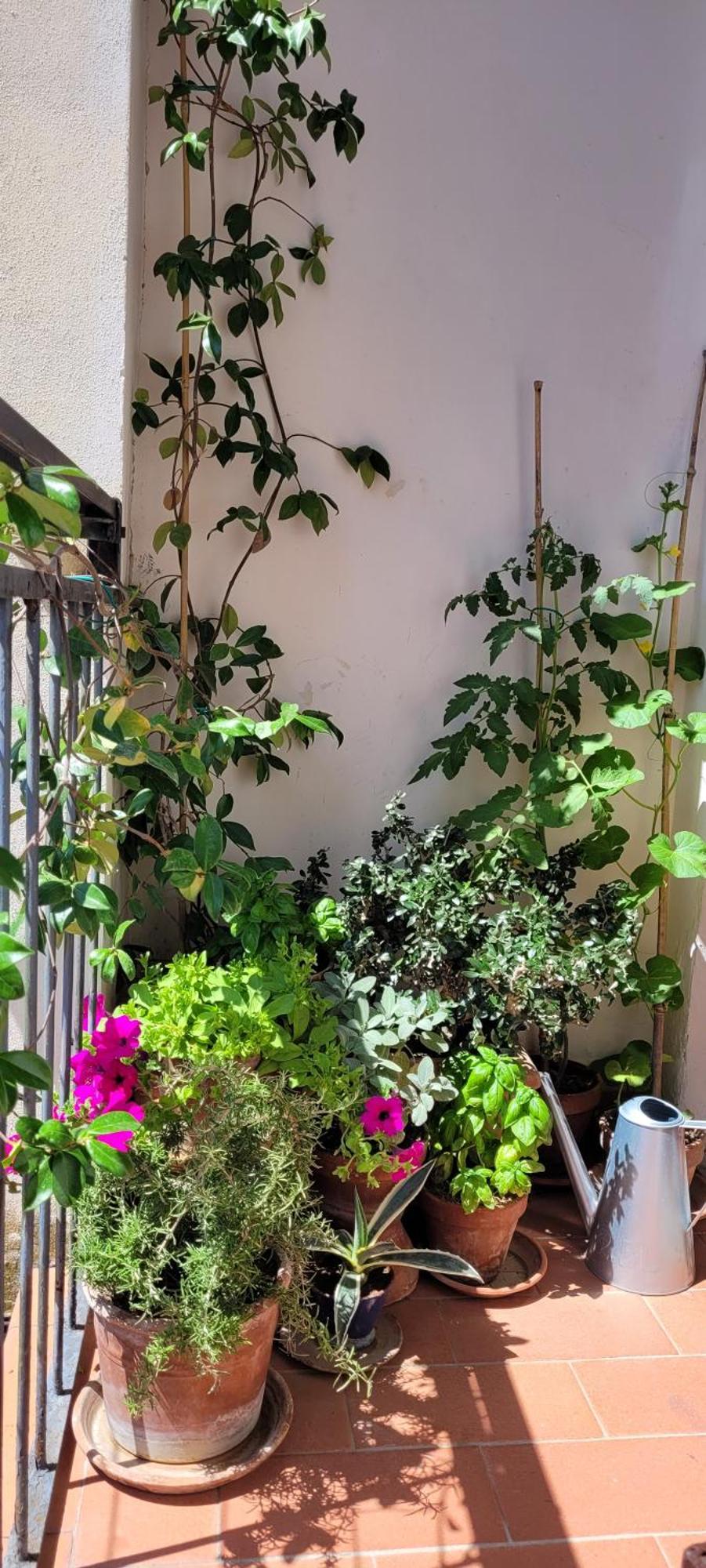 Vista Su Giardini Storici In Oltrarno Apartamento Florença