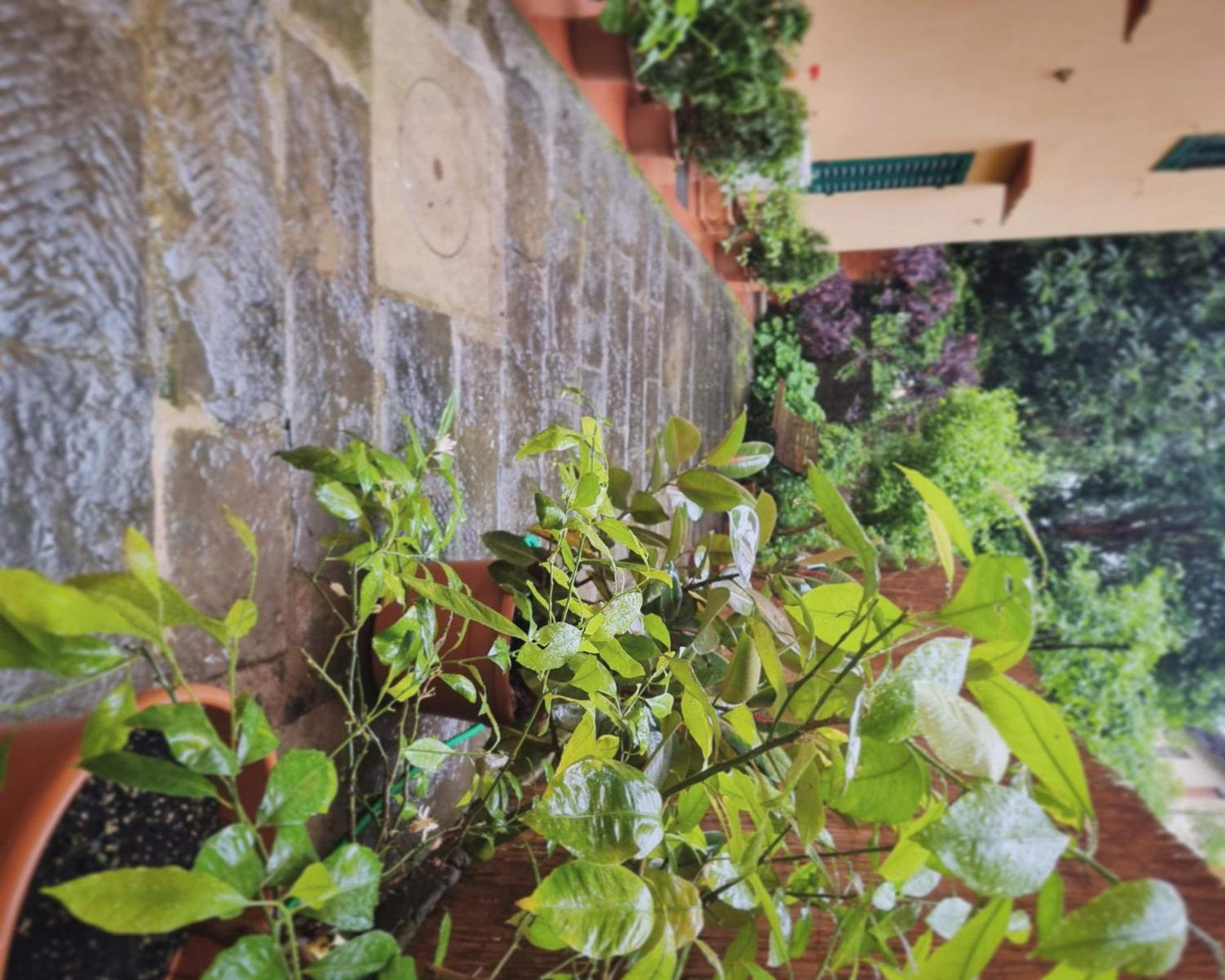 Appartement Ibisco *