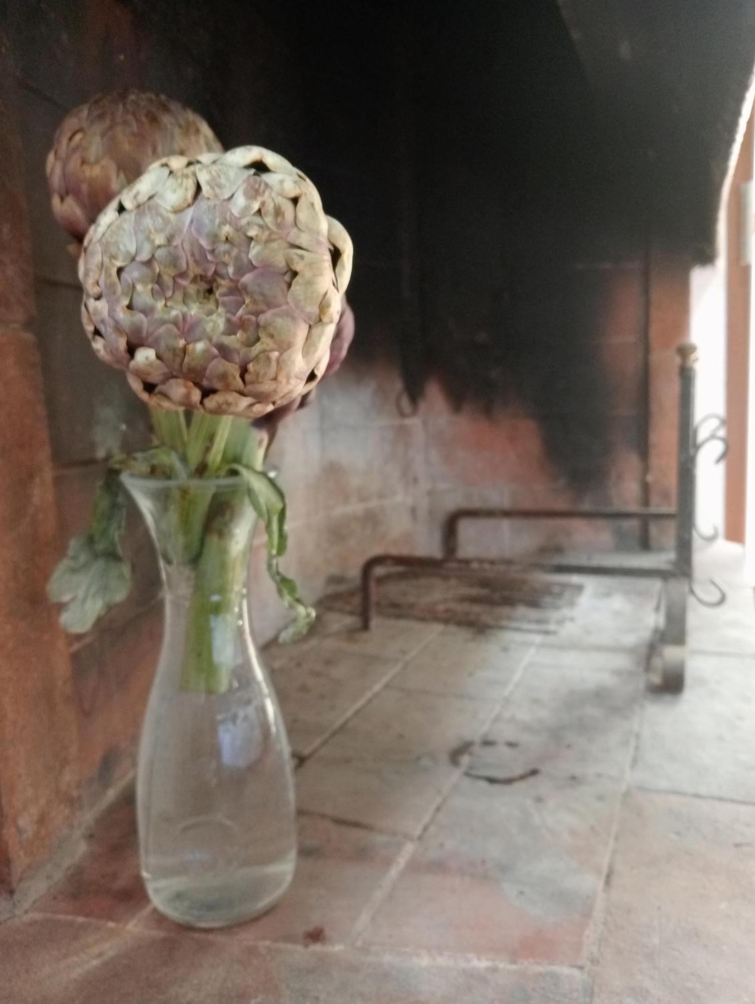 Small Heaven In Florentine Hills Appartement *