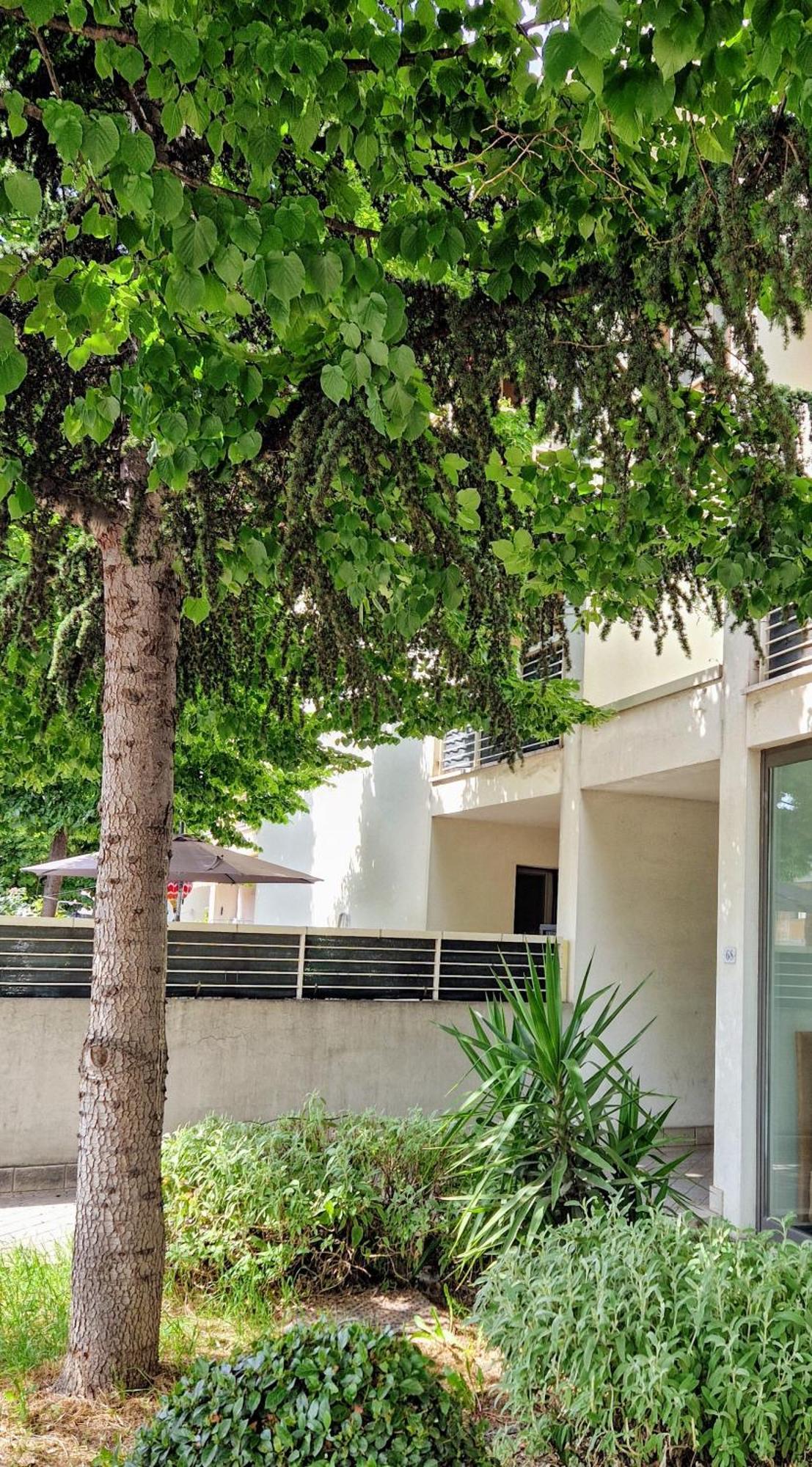 Apartamento Dolcenido Meyer Florença