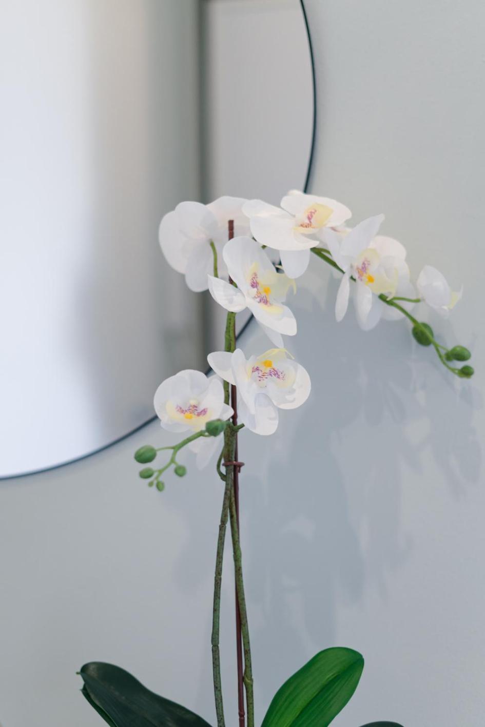 - Cozy House Apartamento