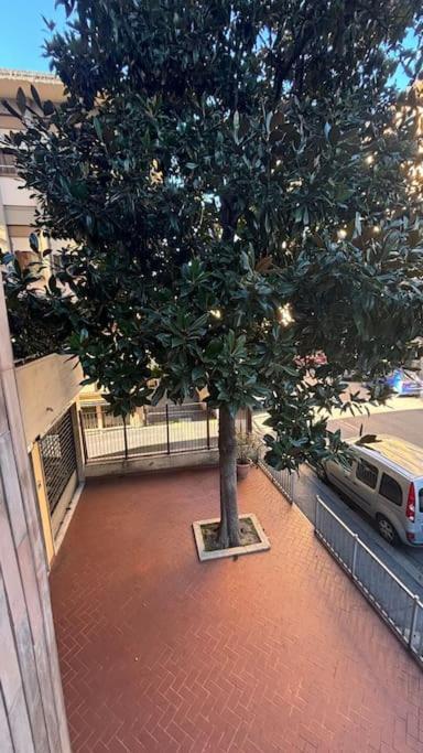 Show Me 2 Bedroom Duomo & Airport Tram Appartement Florence