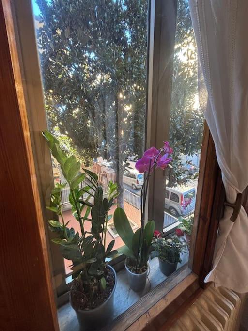 Show Me 2 Bedroom Duomo & Airport Tram Appartement Florence