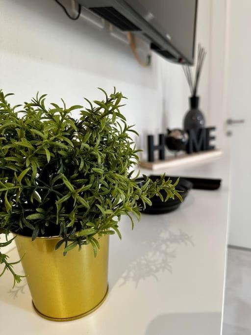 Appartement Nencionihouse- Modern Comfort Close To Center Florence