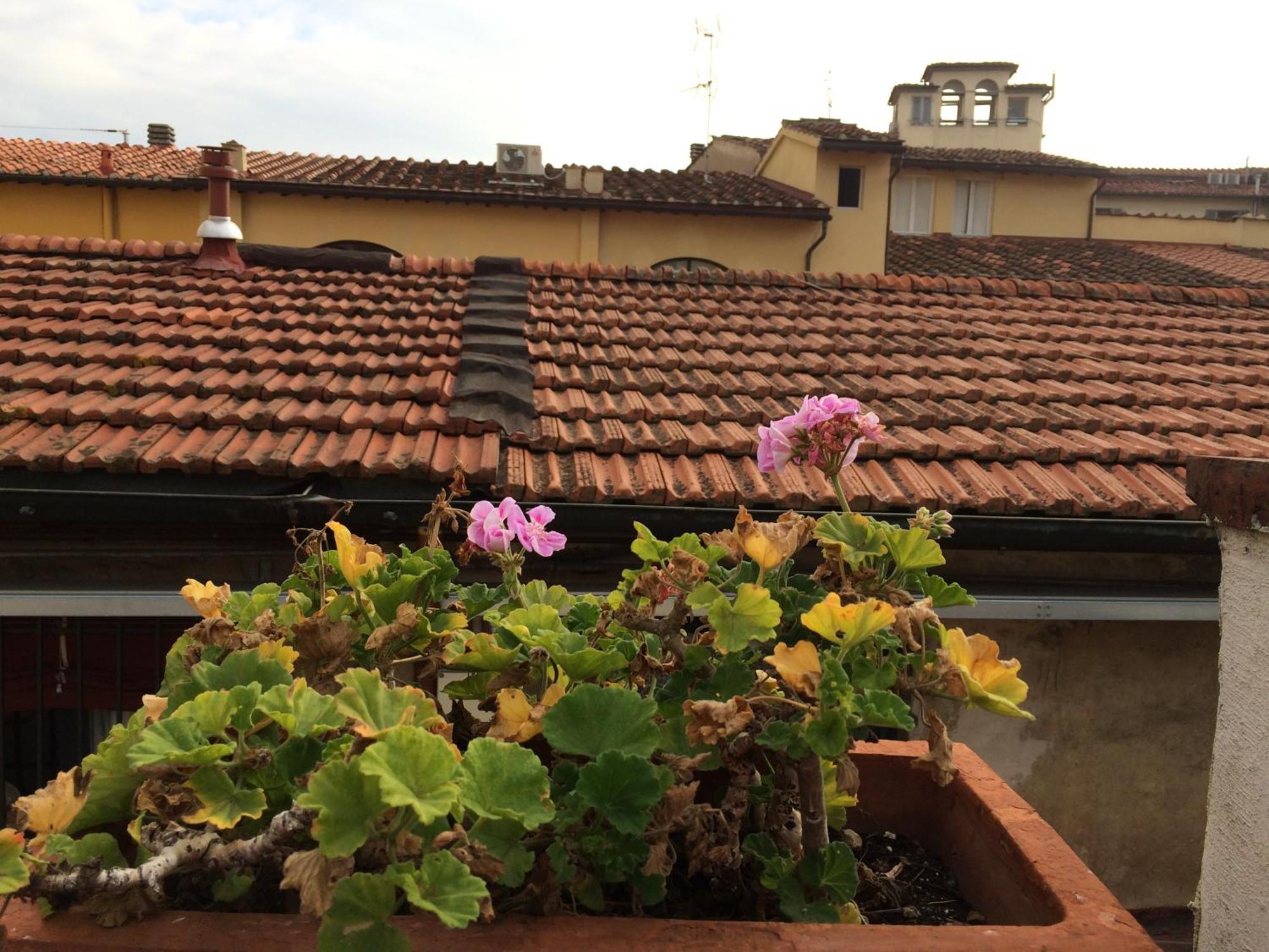 Il Bargellino *