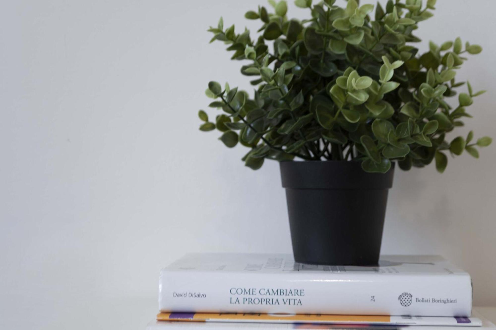 Italian Experience-novoli Apartment