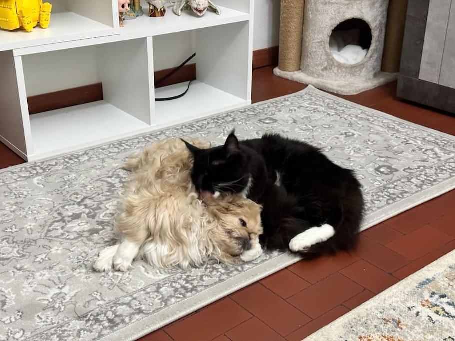 Appartamento Comfortable In A Pet-friendly