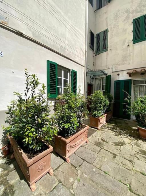 Benvenuti Nel Paradiso In Citta Appartement