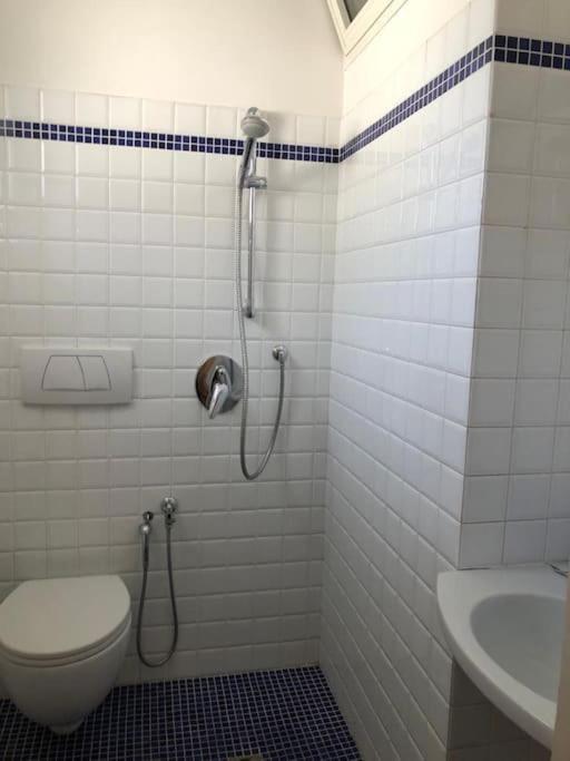 Serragli House Apartamento Florença