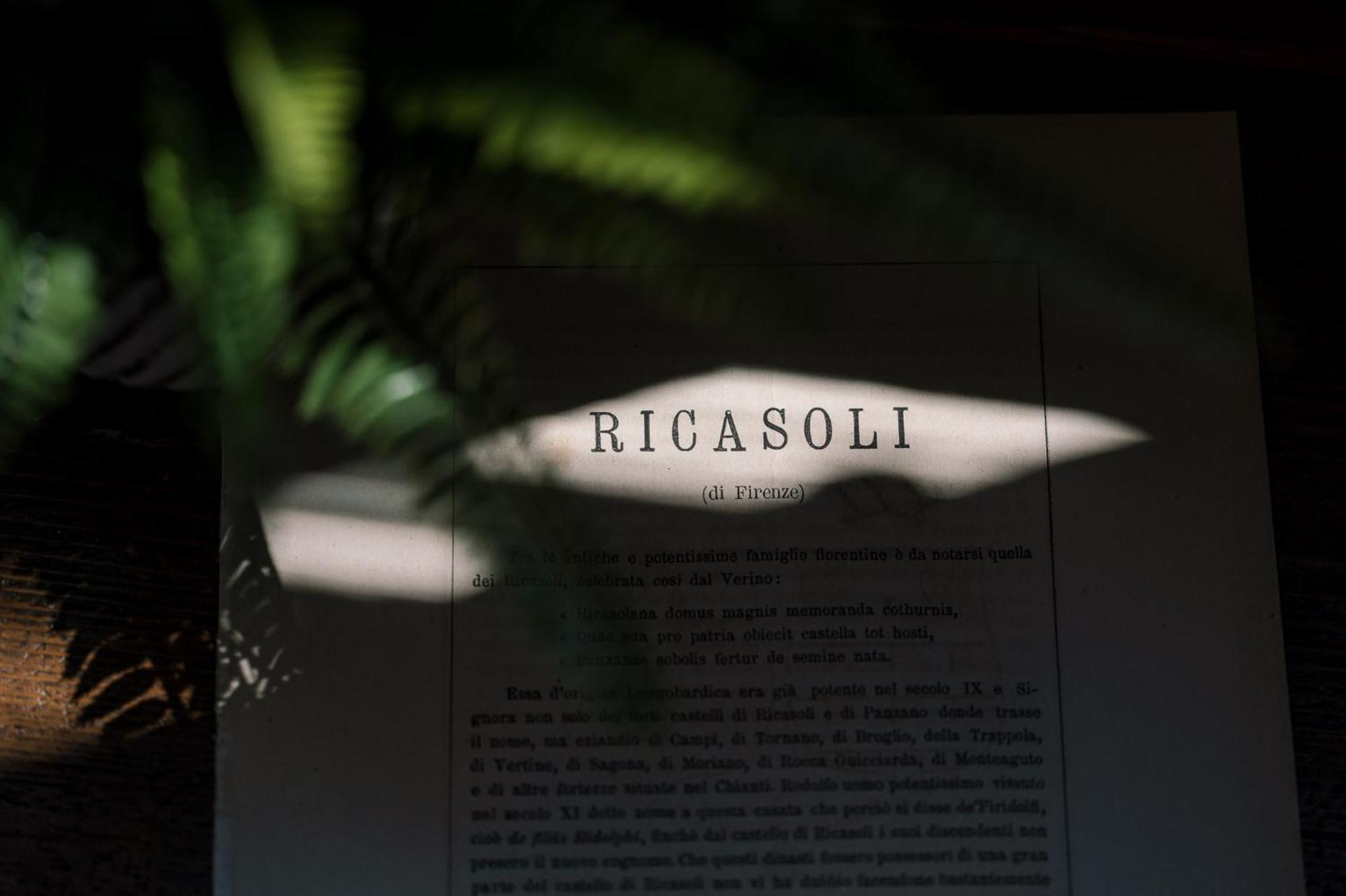 Accademia Luxury Art *