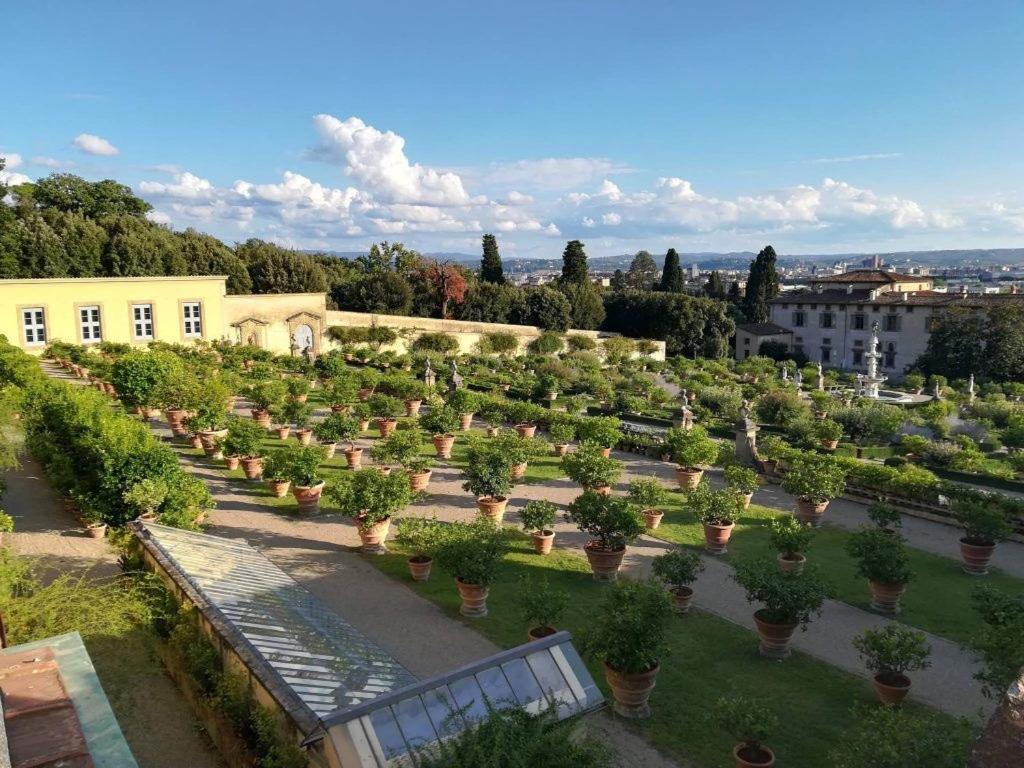 Apartment, Garden And Parking Apartment *