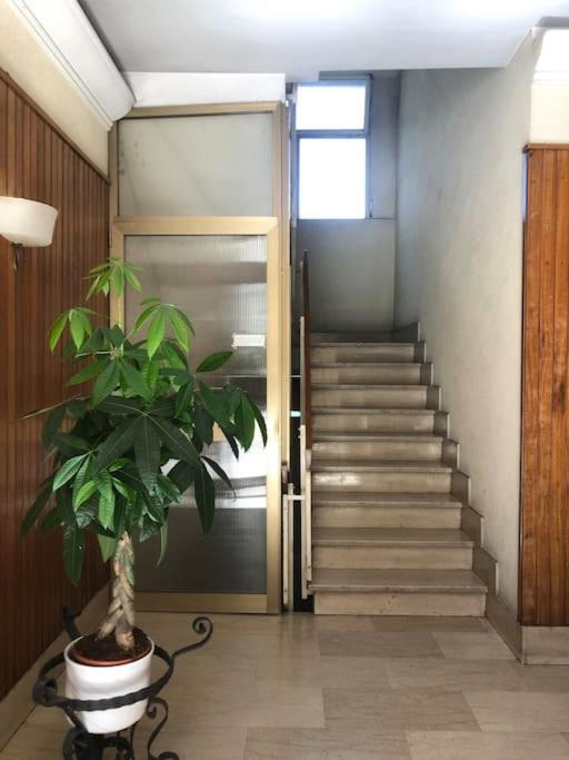 Guest house Sansovino Bed And Car