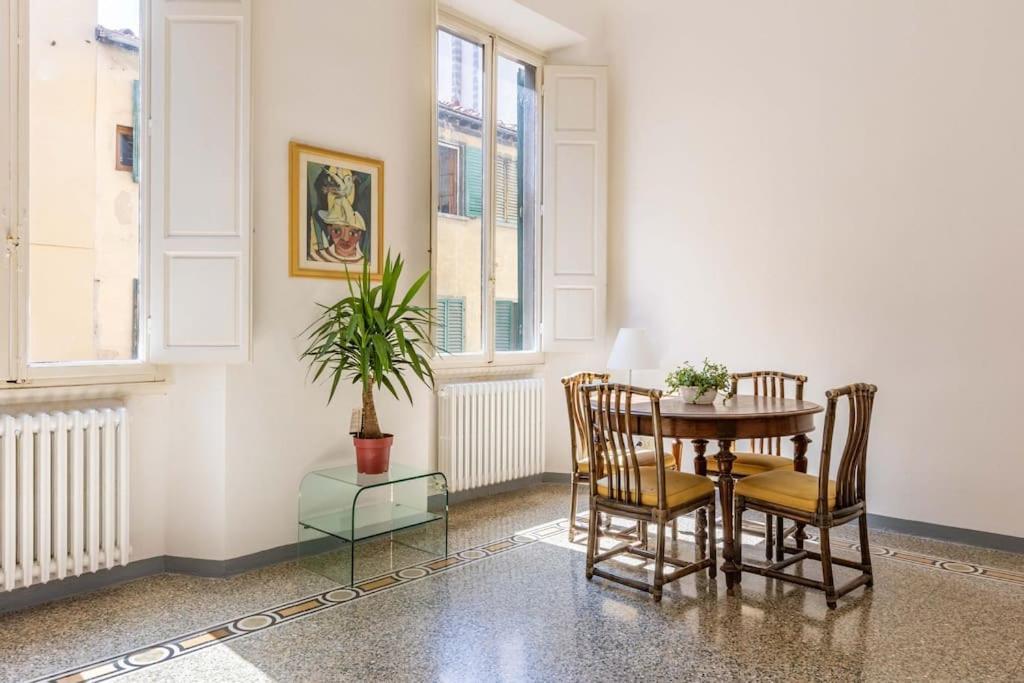 Academia Of Davide Spacious *