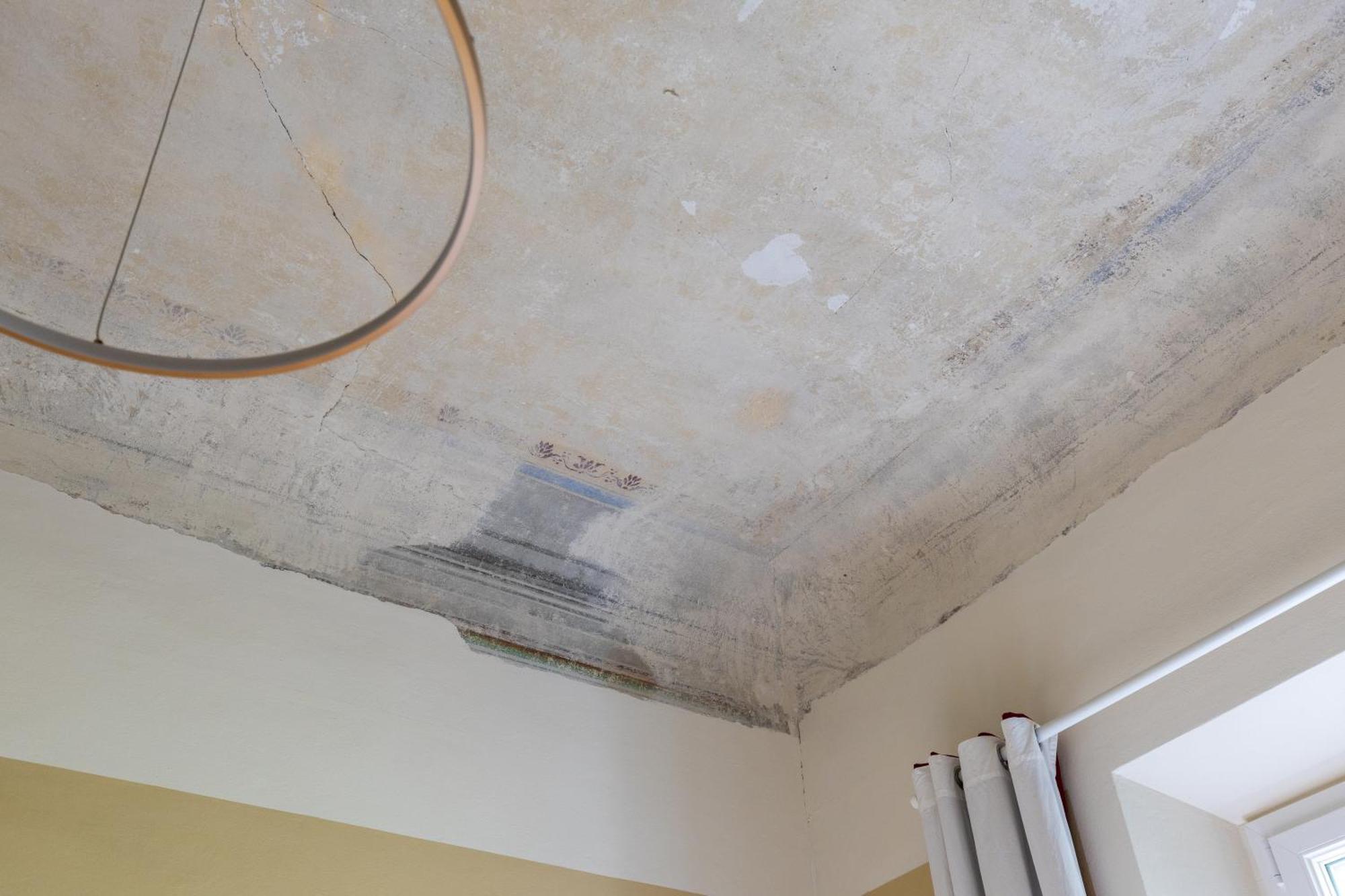Appartement Eggprint *