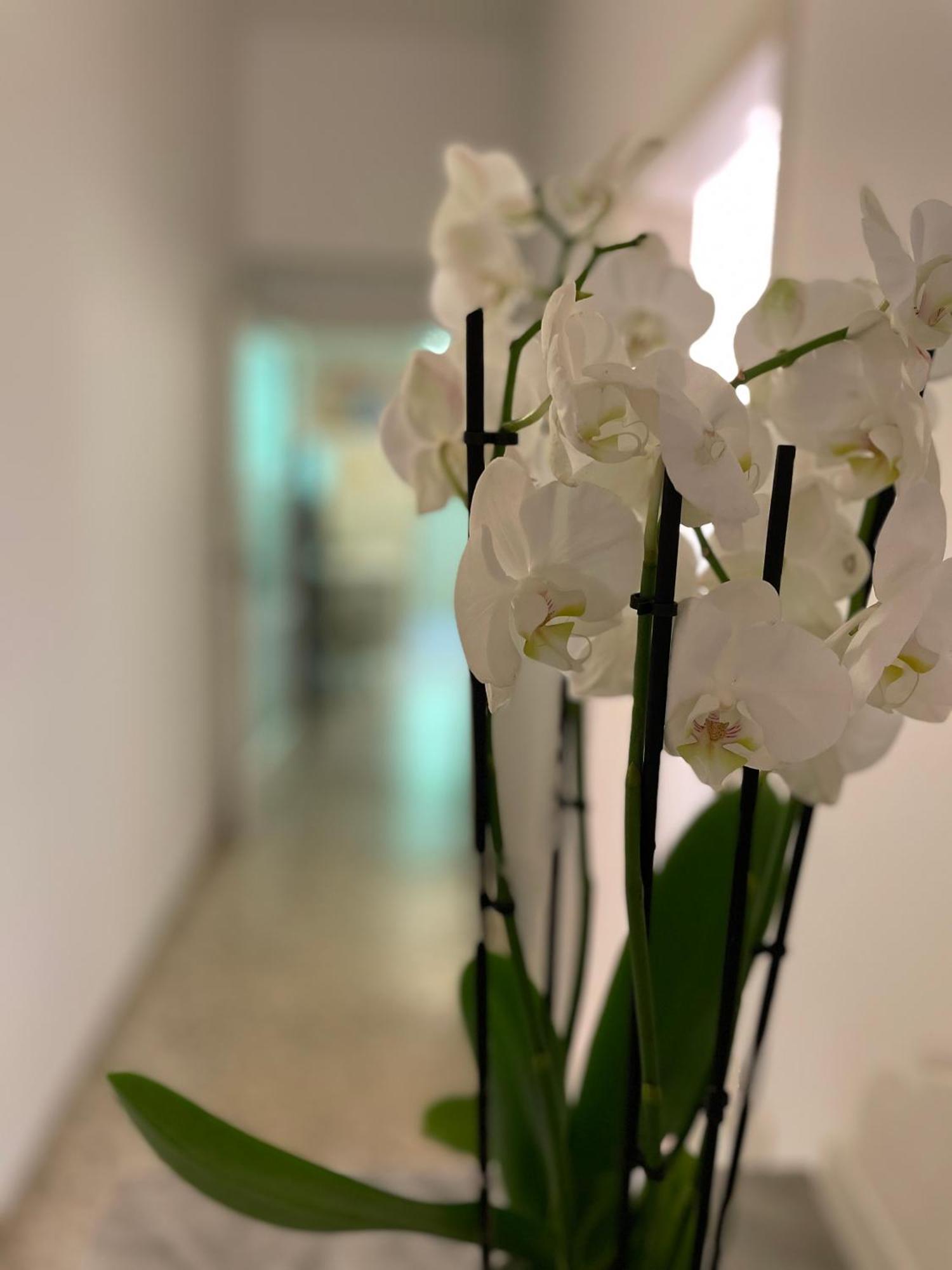 Ruote Family Apartment Florence