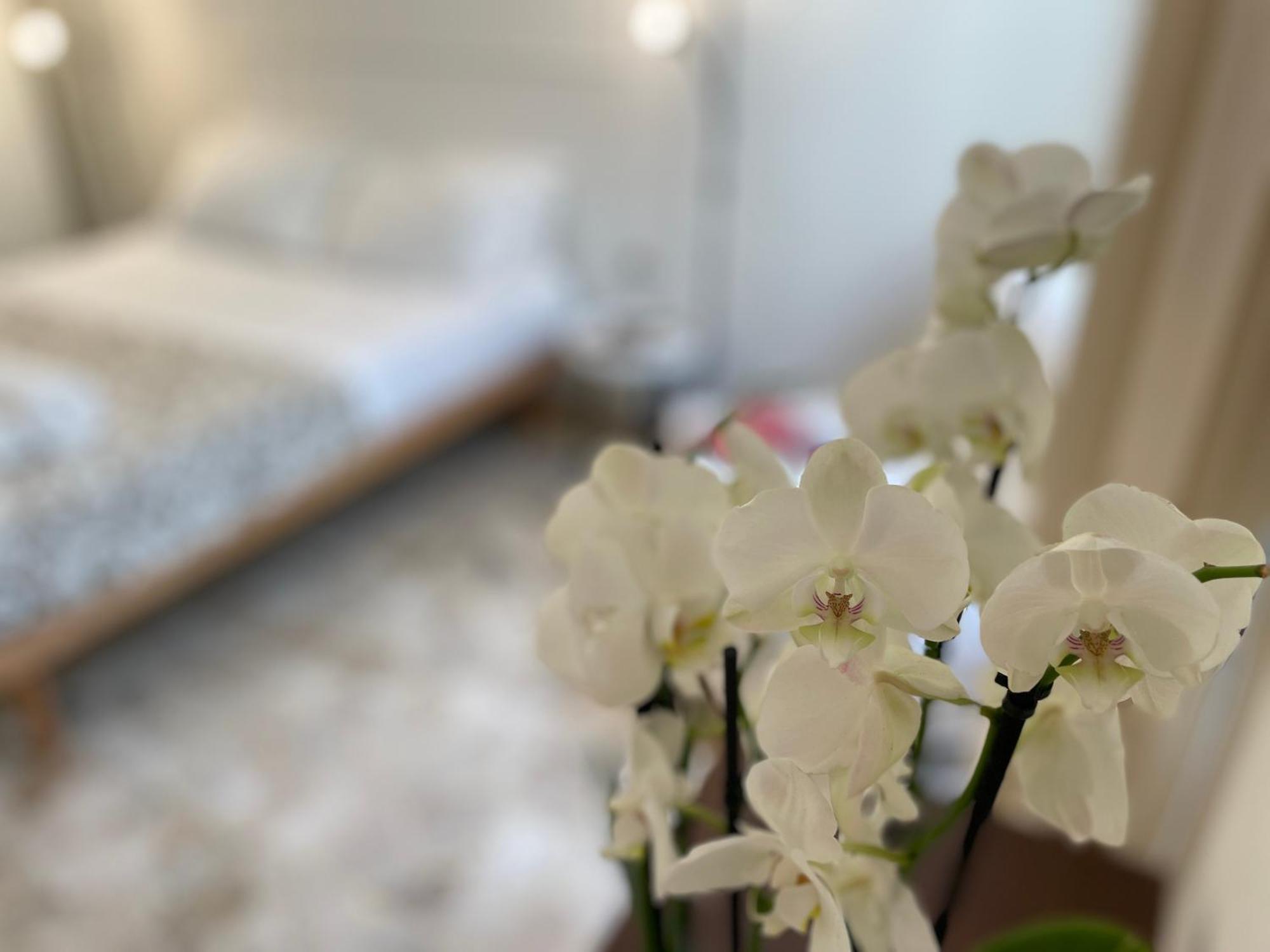 Apartment Ruote Family Florence