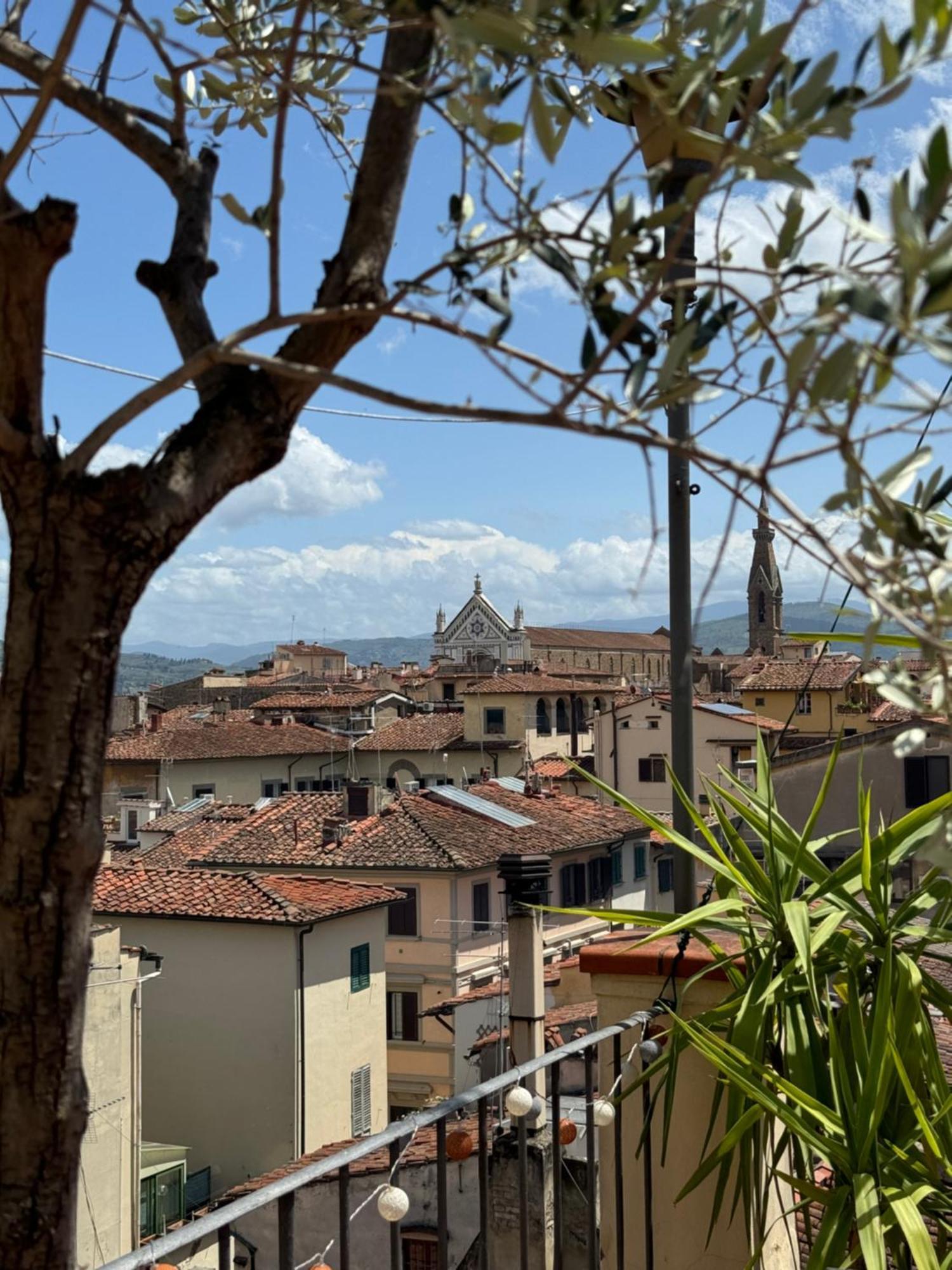 Panorama & Terrace * Firenze