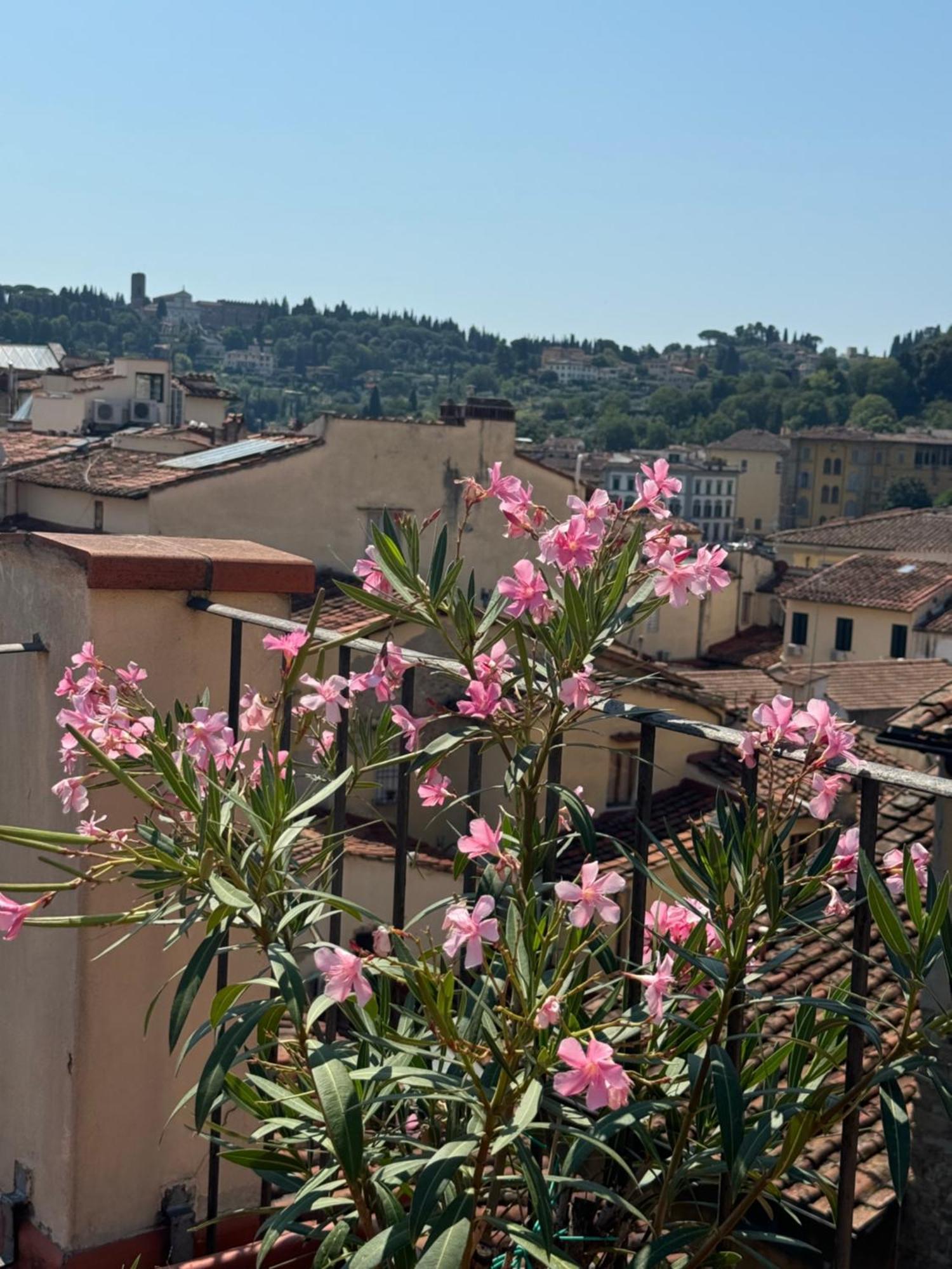 Appartamento Panorama & Terrace *