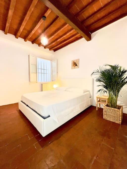 Casa Centro Wi Fi Aria Condizionata Netflix Apartment Florence