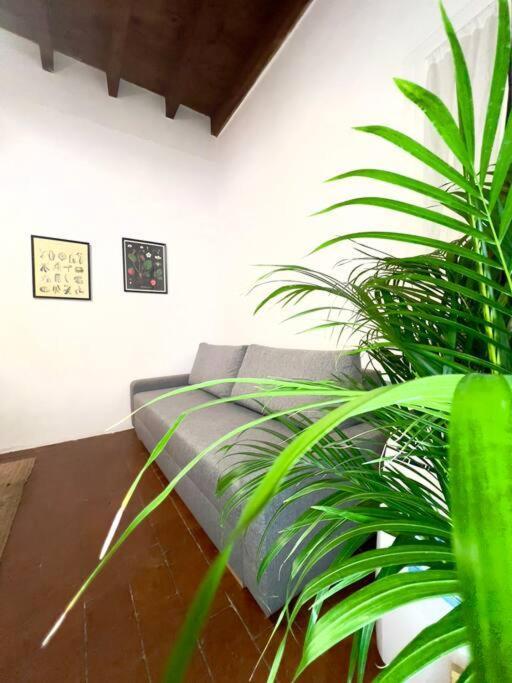 Casa Centro Wi Fi Aria Condizionata Netflix Apartment Florence