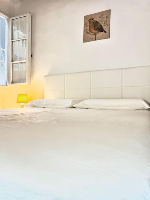 Casa Centro Wi Fi Aria Condizionata Netflix Florence