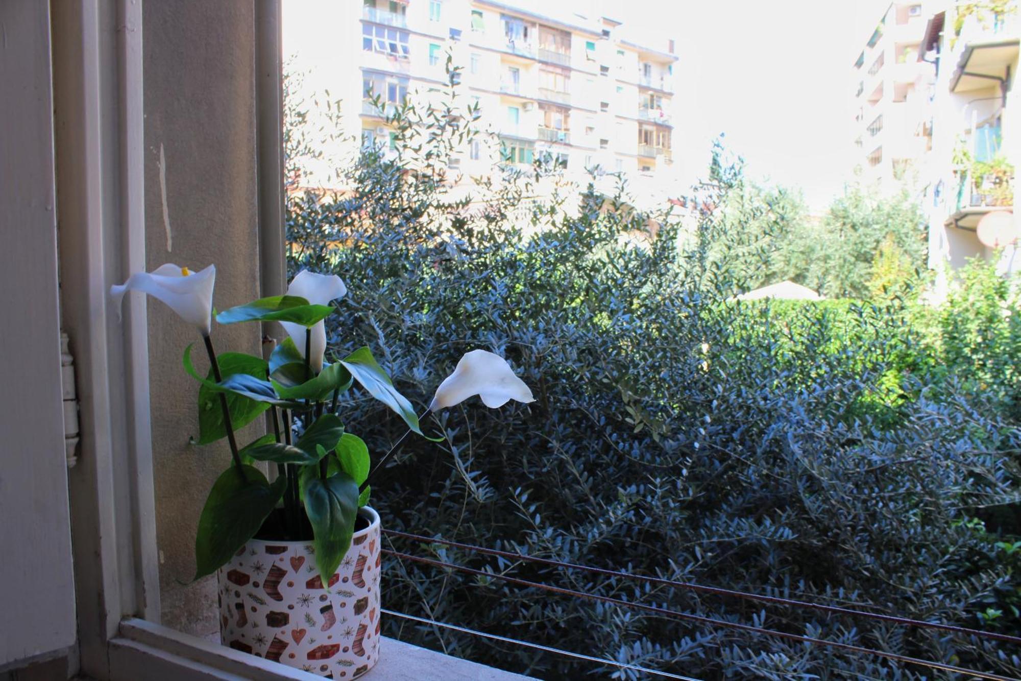 Emy * Florence