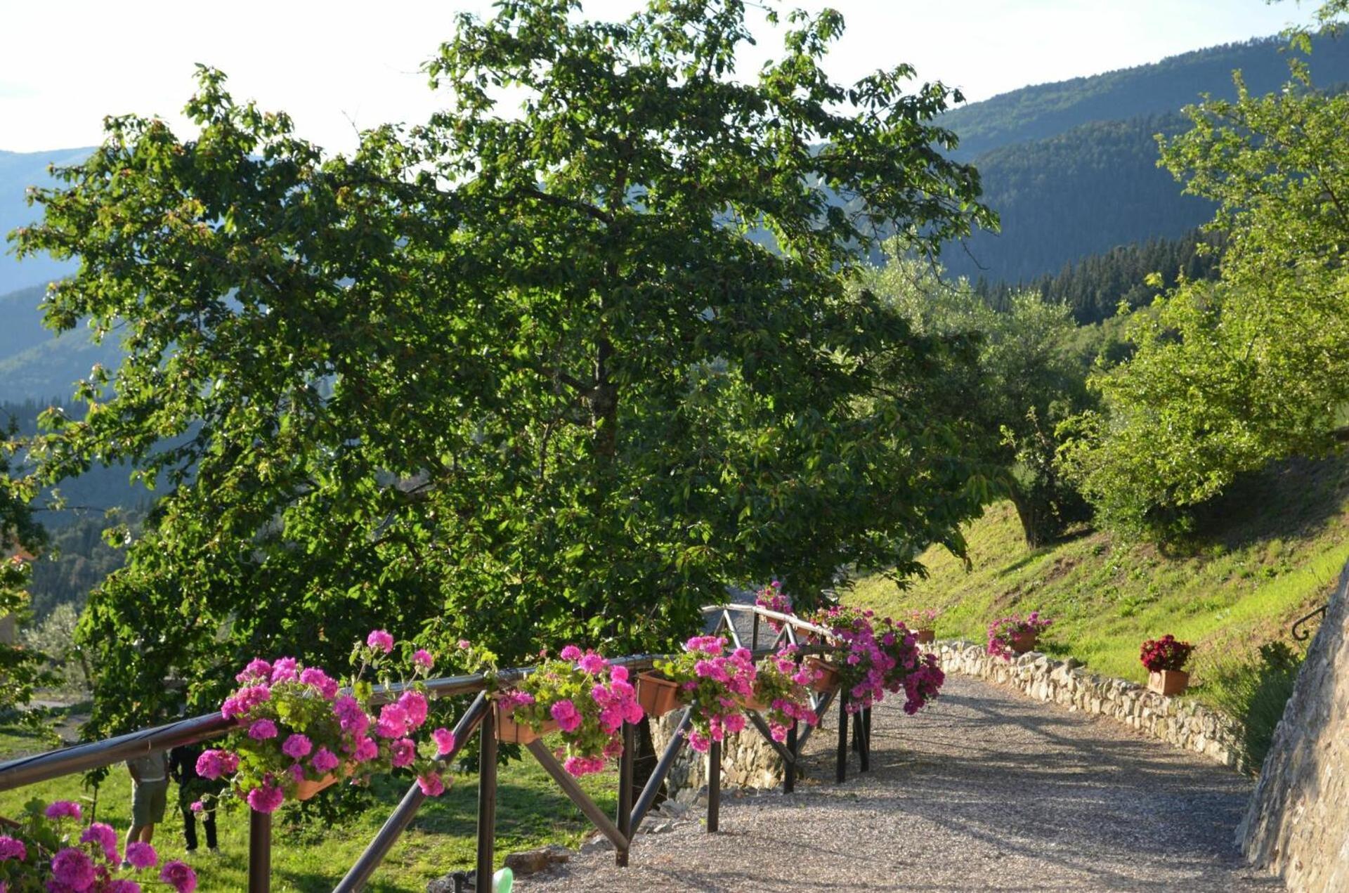 Villa Tenuta Lonciano *