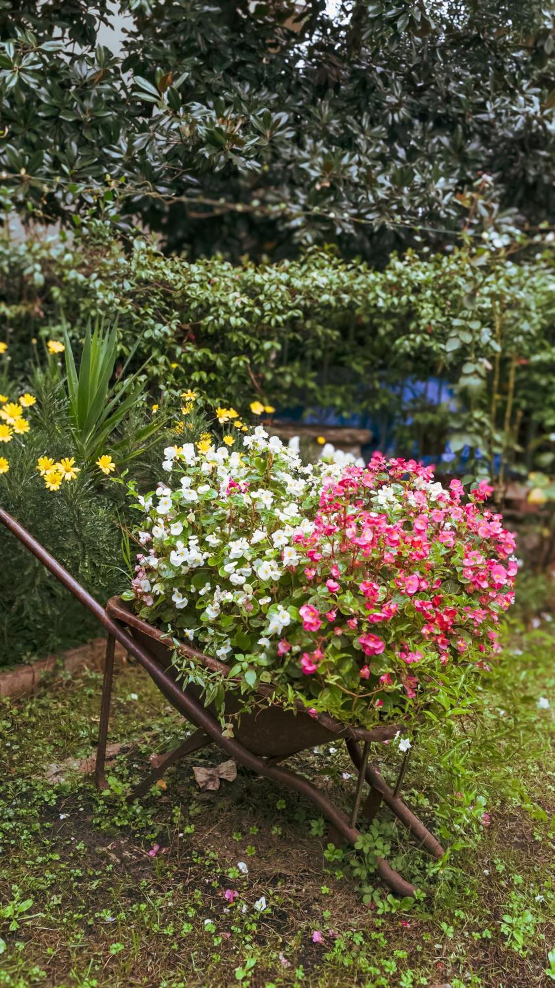 Casa vacanze La Serra Sognante, Un Rifugio Incantevole Tra Natura E Relax